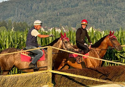 2024 07 20 Cuarto IMG 4968 Cuarto