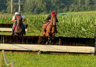 2024 07 20 Cuarto IMG 4979 Cuarto