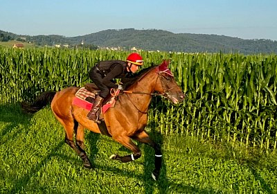 2024 07 20 Cuarto IMG 4985 Cuarto