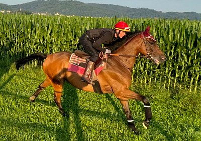 2024 07 20 Cuarto IMG 4986 Cuarto