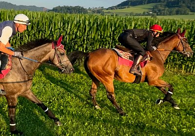 2024 07 20 Cuarto IMG 4989 Cuarto