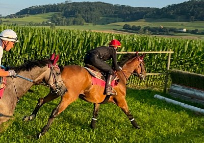 2024 07 20 Cuarto IMG 4990 Cuarto