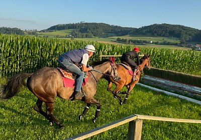 2024 07 20 Cuarto IMG 4991 Cuarto