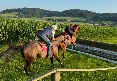 2024 07 20 Cuarto IMG 4992 Cuarto