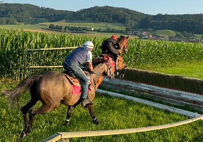 2024 07 20 Cuarto IMG 4993 Cuarto