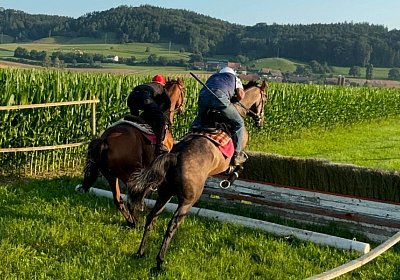 2024 07 20 Cuarto IMG 5021 Cuarto