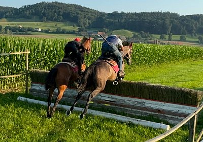 2024 07 20 Cuarto IMG 5022 Cuarto