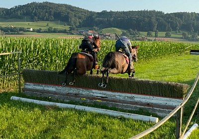 2024 07 20 Cuarto IMG 5023 Cuarto