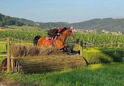 2024 07 20 Cuarto IMG 5041 Cuarto