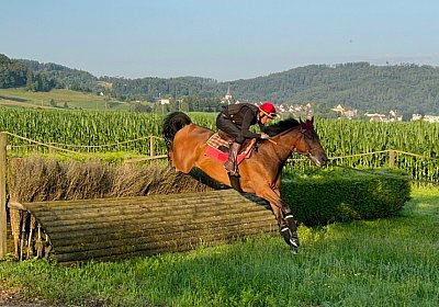 2024 07 20 Cuarto IMG 5042 Cuarto