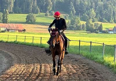 2024 07 20 Cuarto IMG 5060 Cuarto