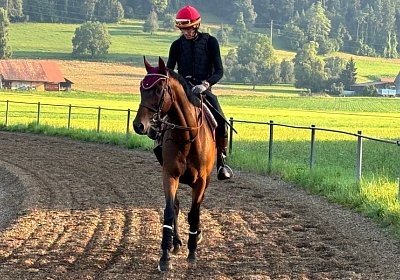 2024 07 20 Cuarto IMG 5061 Cuarto