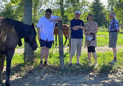 2024 08 03 Arcadia Arcadia 3