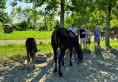 2024 08 03 Arcadia IMG 6775 Energy One More Dream