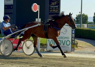 2024 08 03 Vinovo IMG 6634 Mayumi