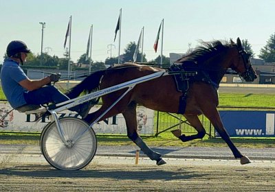 2024 08 03 Vinovo IMG 6641 Mayumi