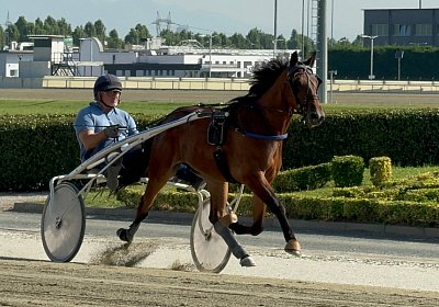 2024 08 03 Vinovo IMG 6657 Mayumi