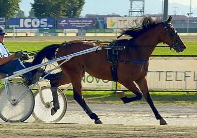 2024 08 03 Vinovo IMG 6668 Mayumi