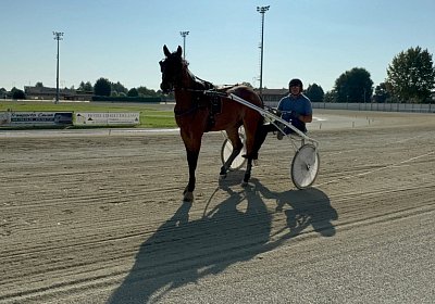2024 08 03 Vinovo IMG 6699 Mayumi