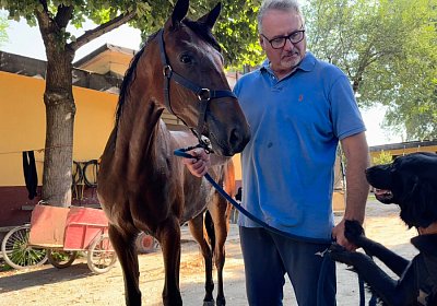 2024 08 03 Vinovo IMG 6710 Mayumi