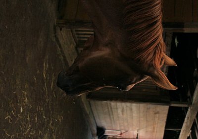 cm cherifos IMG 4005.jpg