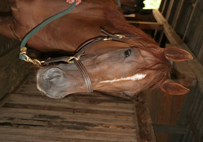 cm cherifos IMG 4006.jpg