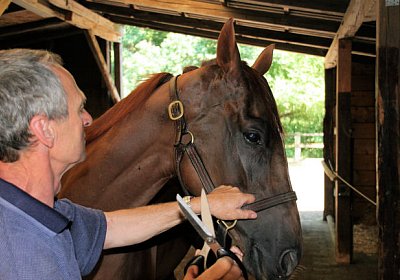 cm cherifos IMG 4024.jpg