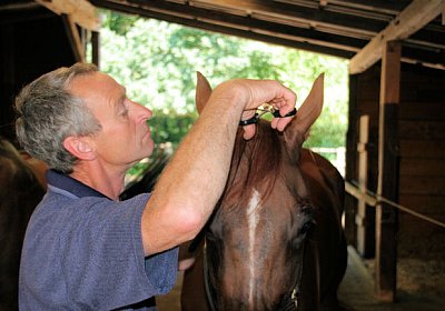 cm cherifos IMG 4027.jpg