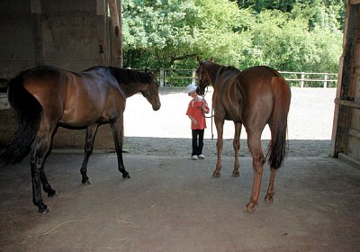 cm cherifos IMG 4042.jpg