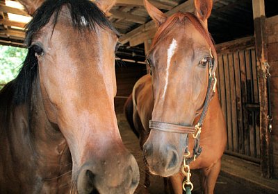 cm cherifos IMG 4044.jpg