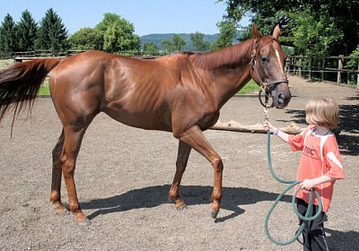 cm cherifos IMG 4045.jpg