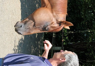 cm cherifos IMG 4046.jpg