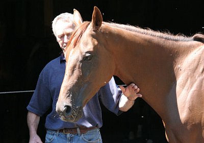 cm cherifos IMG 4047.jpg