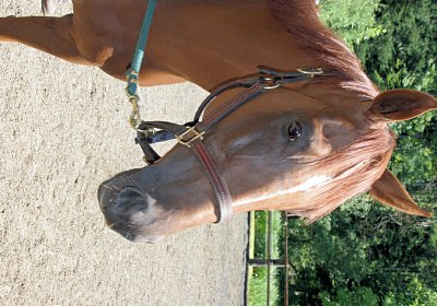 cm cherifos IMG 4056.jpg