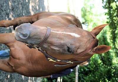 cm cherifos IMG 4065.jpg