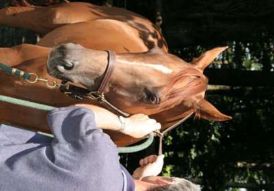 cm cherifos IMG 4070.jpg