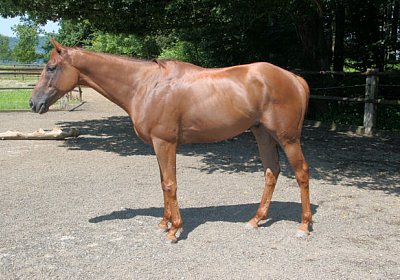 cm cherifos IMG 4075.jpg