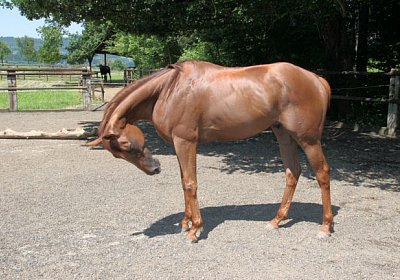 cm cherifos IMG 4076.jpg