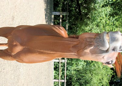 cm cherifos IMG 4087.jpg