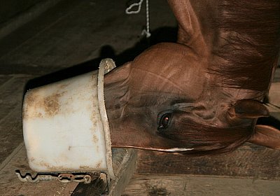 cm cherifos IMG 4115.jpg