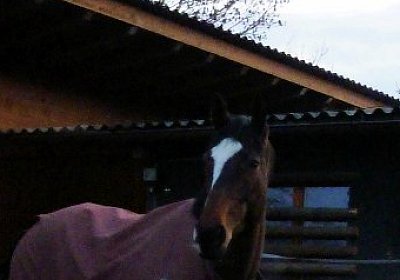 P1000011 360x480