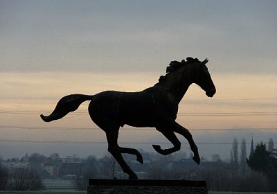 P1000127 640x480