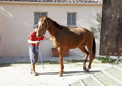 sc loxley DSC05234 640x426.jpg