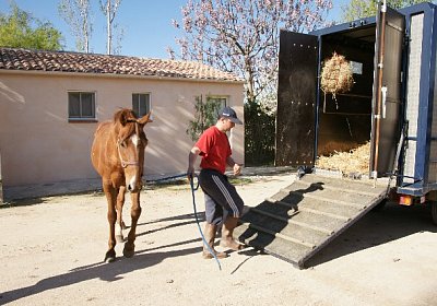 sc loxley DSC05235 640x426.jpg