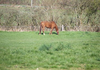 sc loxley DSC05242 640x426.jpg