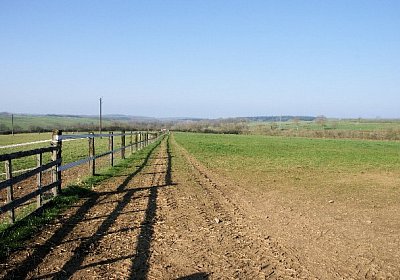 sc loxley DSC05243 640x426.jpg