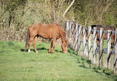 sc loxley DSC05245 640x426.jpg