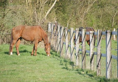 sc loxley DSC05247 640x426.jpg