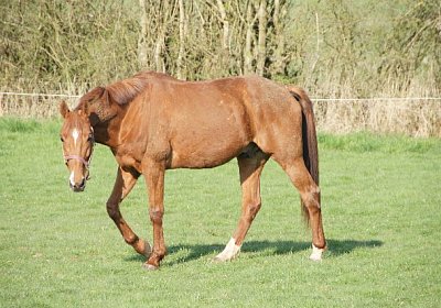 sc loxley DSC05252 640x426.jpg