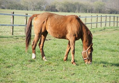 sc loxley DSC05259 640x426.jpg